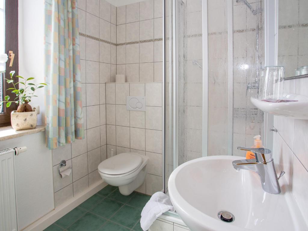 Landhotel Zum Hammer Tannenberg Cameră foto